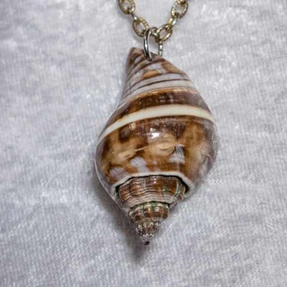 NATURAL Conch Shell Necklace with Chain Gold Tone - Picture 2 of 8